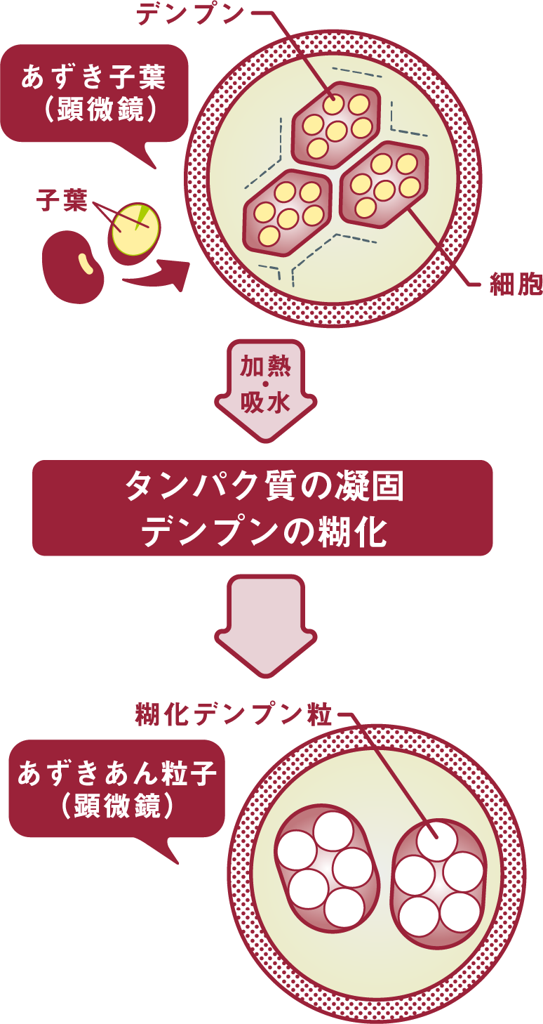 「あずきはあんになる」の説明図