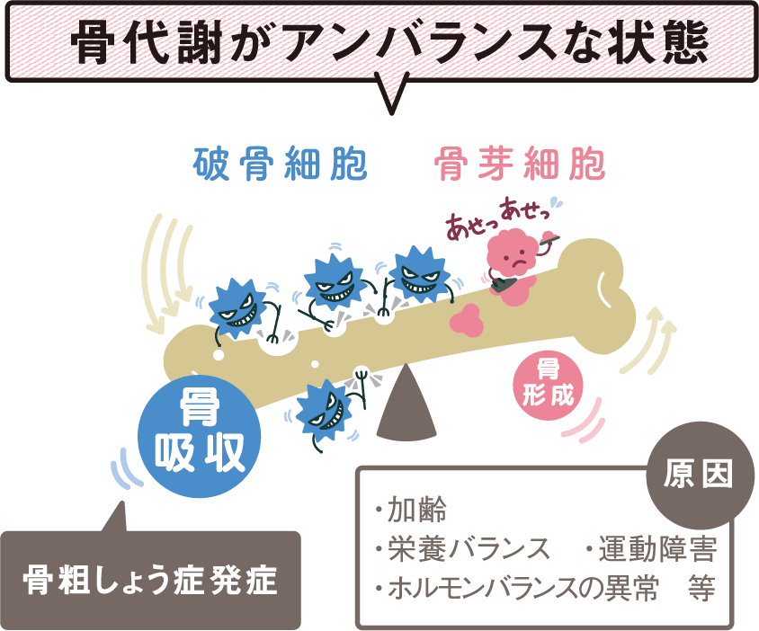 産学共同研究 あずきについて 井村屋株式会社